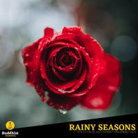 Rainy Seasons - Rain Nature Sounds in Different Atmospheres, Vol. 8