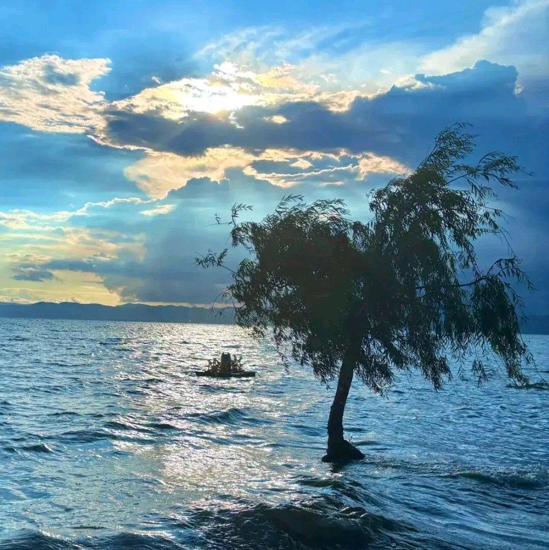 梨园叹 - 听风细雨封面