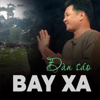 Đàn sáo bay xa