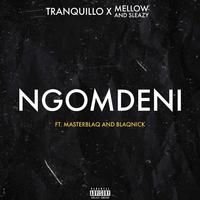 Ngomdeni (feat. Mellow, Sleazy, Blaqnick & MasterBlaQ)