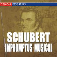 Schubert: Impromptus - Moments Musical