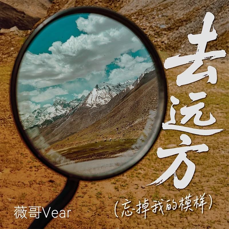 去远方(忘掉我的模样) (伴奏)封面