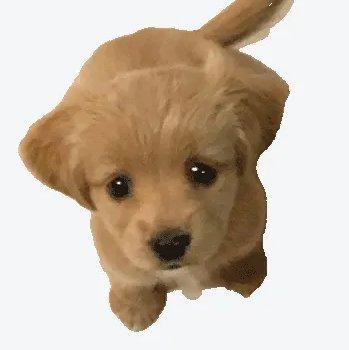 你不知道我比你想象中的更爱你