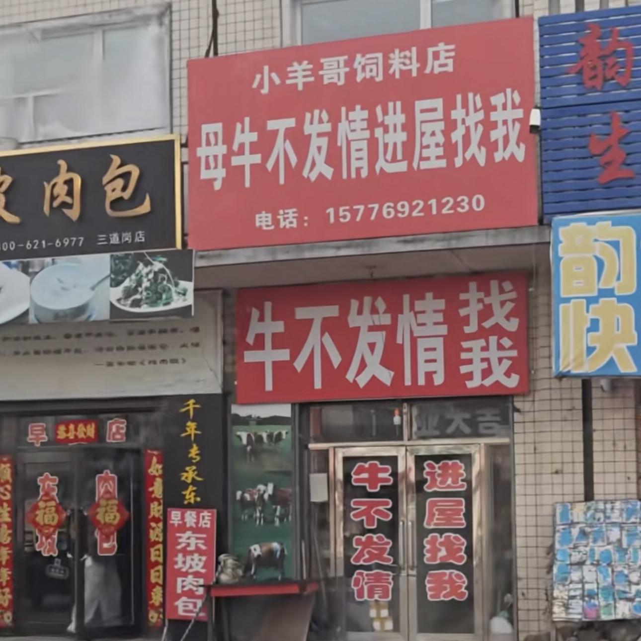快乐老家封面