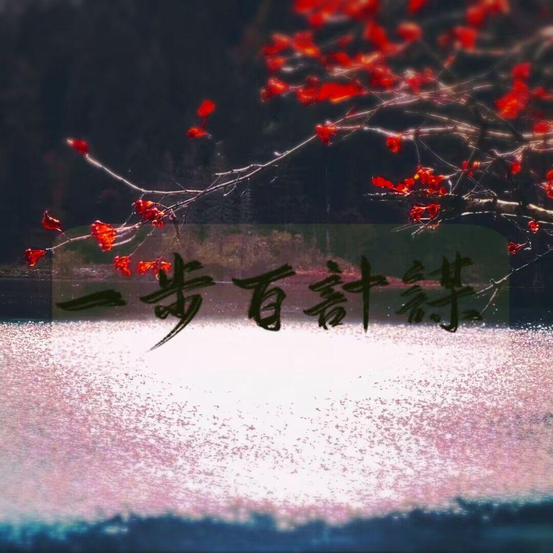 一步百计【刘鄩】 - 蕨类植物、天命颍川封面