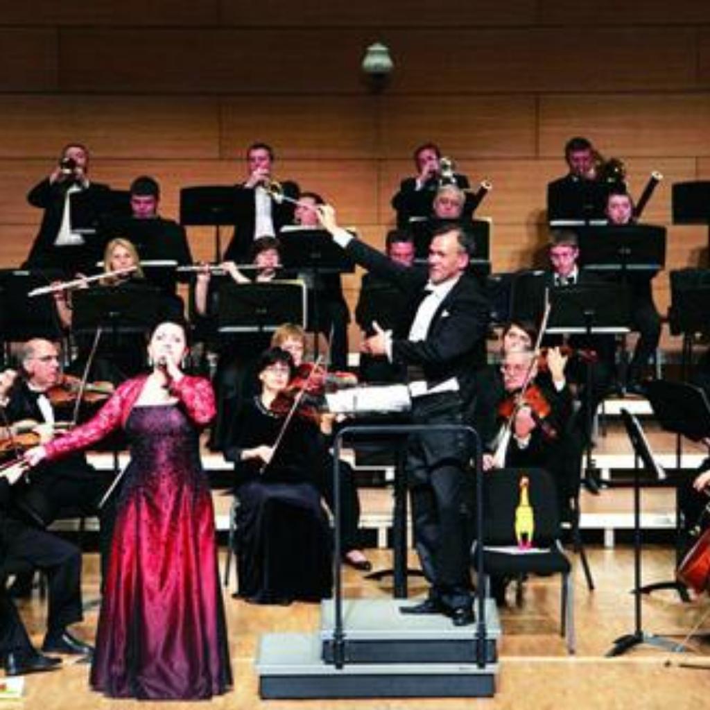 维也纳爱乐乐团 The Vienna philharmonic