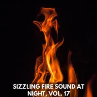 Sizzling Fire Sound at Night, Vol. 17