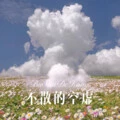 比较大的大提琴 (Remix)封面