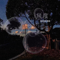 风度