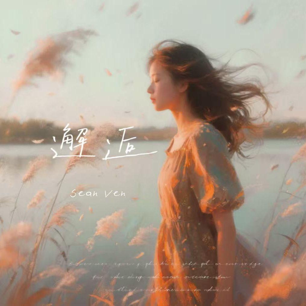 邂逅封面