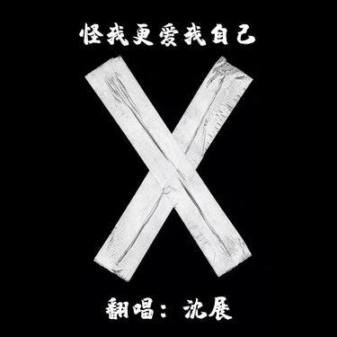 怪我更爱我自己 (Cover 赵紫骅)封面