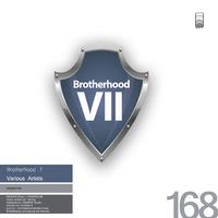 Brotherhood 7