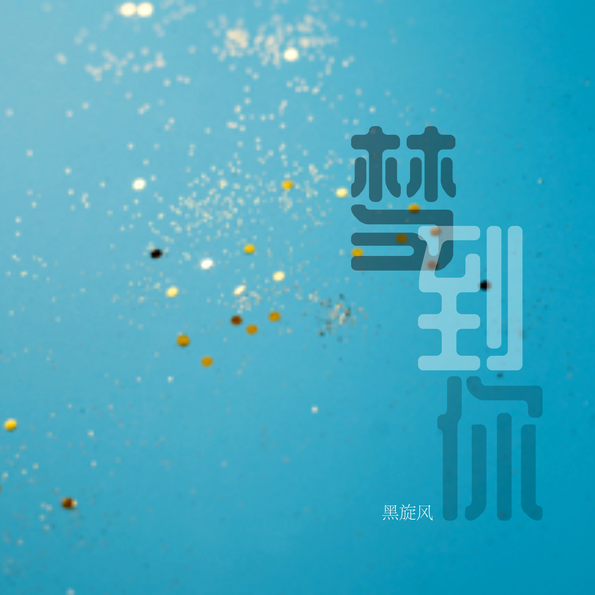皮肤 - 黑旋风封面