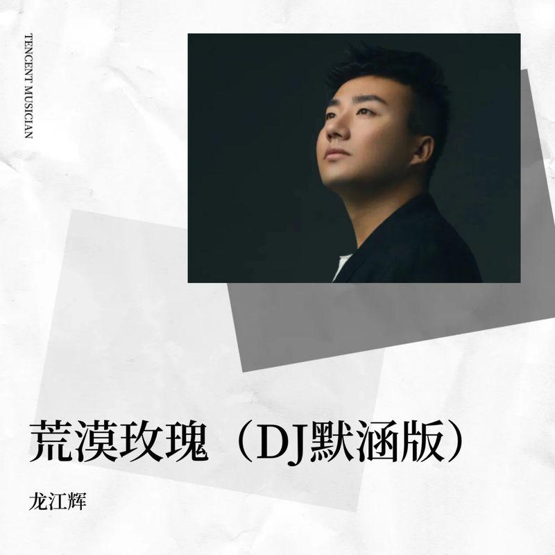荒漠玫瑰 (DJ默涵版|女版|伴奏)封面