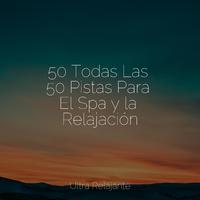 50 Todas Las 50 Pistas Para El Spa y la Relajación