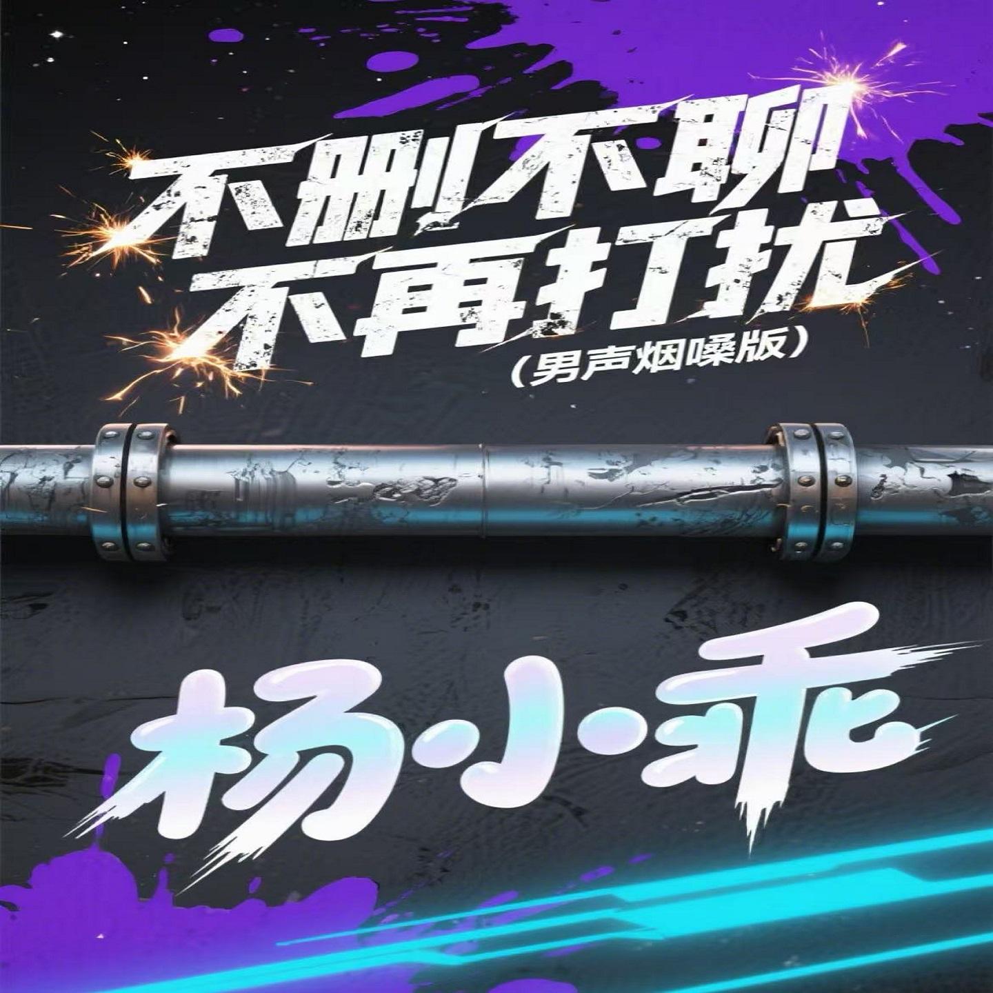 不删不聊不再打扰 (男声烟嗓版)封面