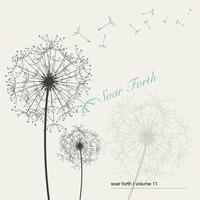 Soar Forth, Vol. 12