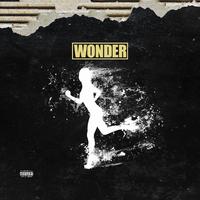 Wonder