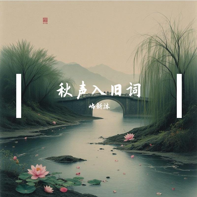 是非题封面