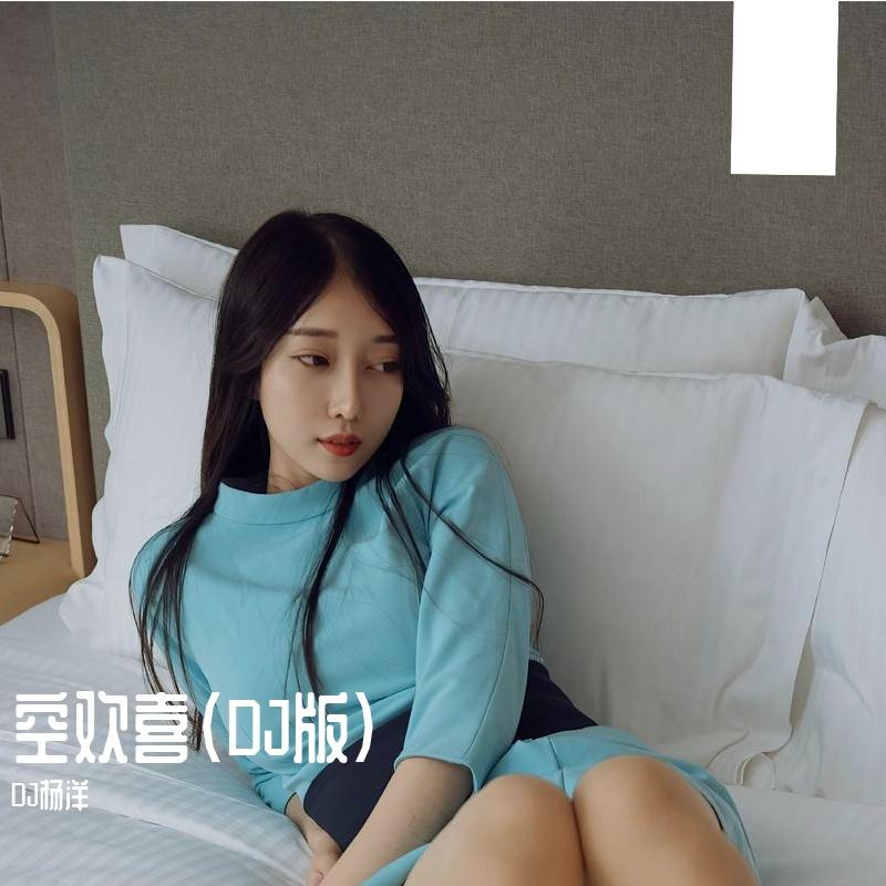 空欢喜（DJ版）封面