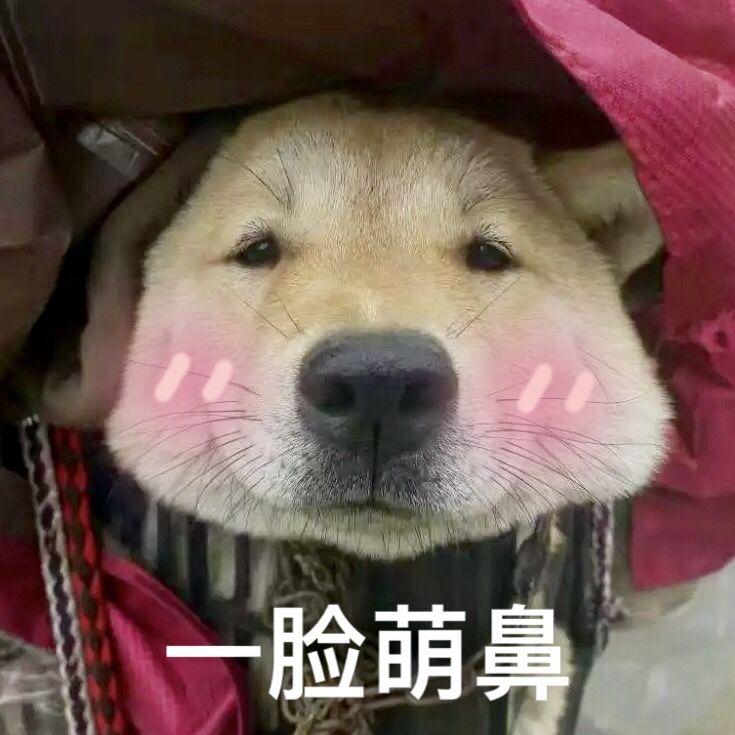 父亲写的散文诗（Cover 许飞）封面