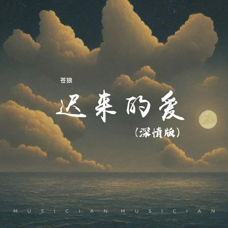 迟来的爱封面