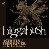 Acid Fly / This River