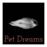 Pet Dreams