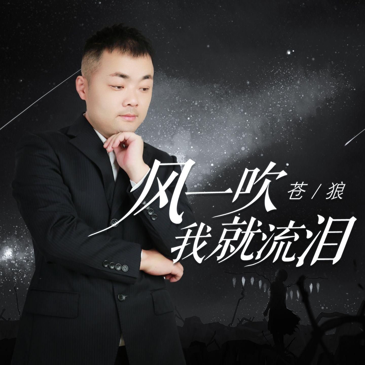 风一吹我就流泪 (DJLive合唱版） - 苍狼封面