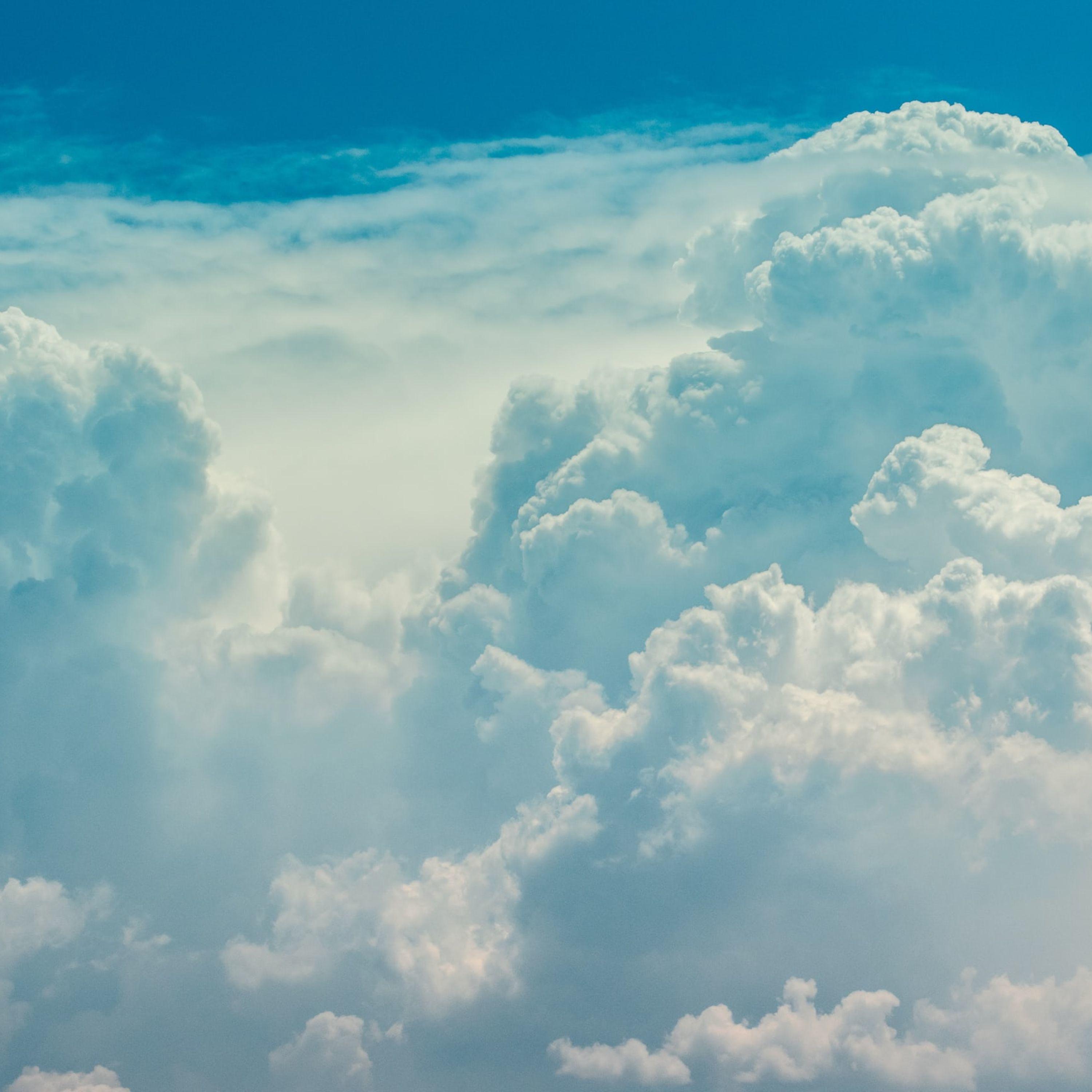 Hamaca En Los Árboles