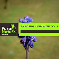 A Nurturing Sleep in Nature, Vol. 2