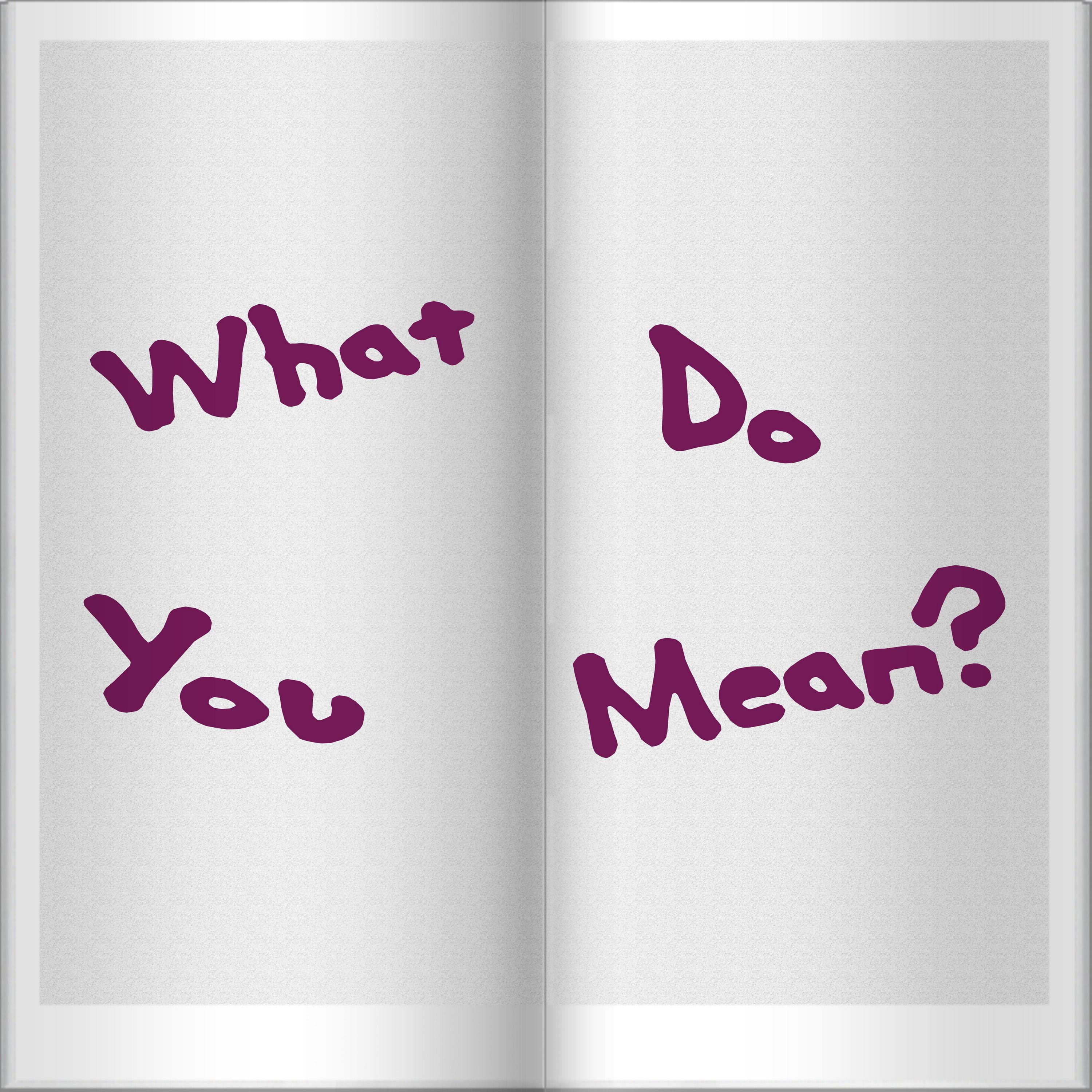 What Do You Mean?，What Do You Mean，《What Do You Mea...