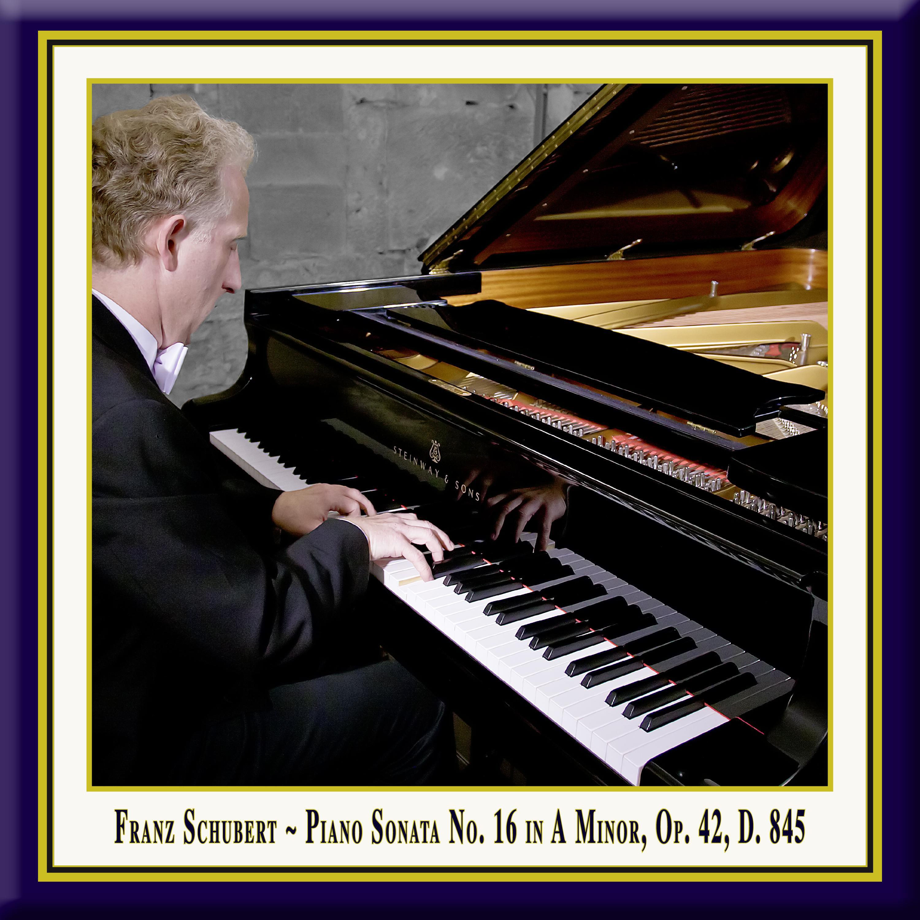 Schubert: Piano Sonata No. 16 In A Minor, Op. 42, D. 845 - Rolf Plagge ...