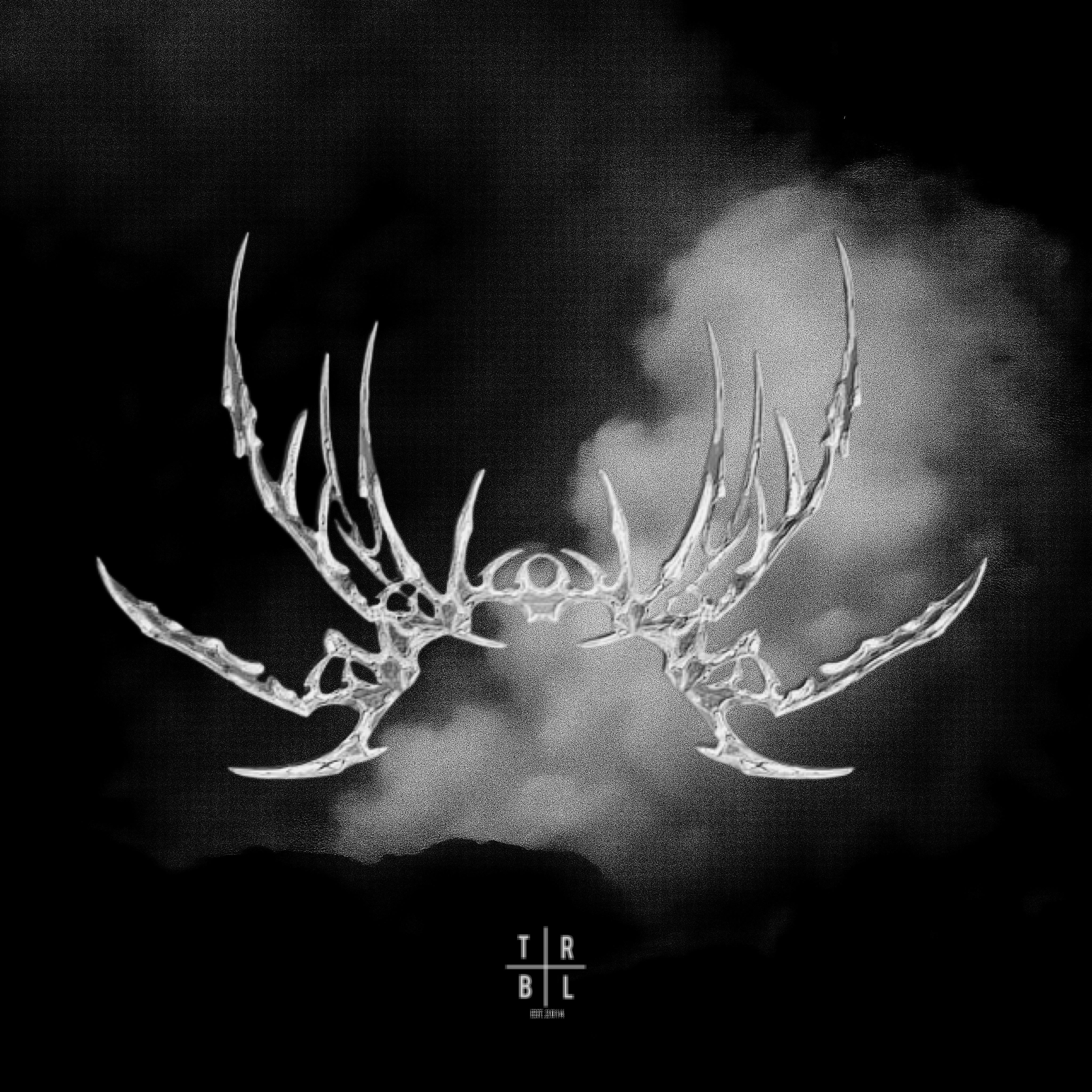 THE VOID (Super Slowed)