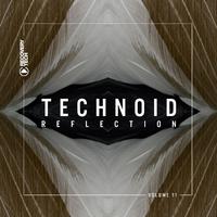 Technoid Reflection, Vol. 11