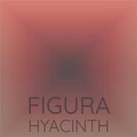 Figura Hyacinth