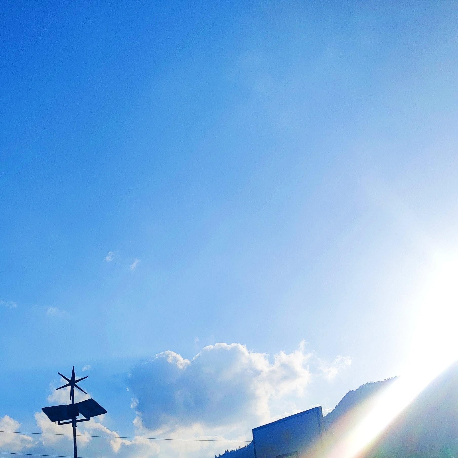 最喜欢臭鱼的铁憨憨