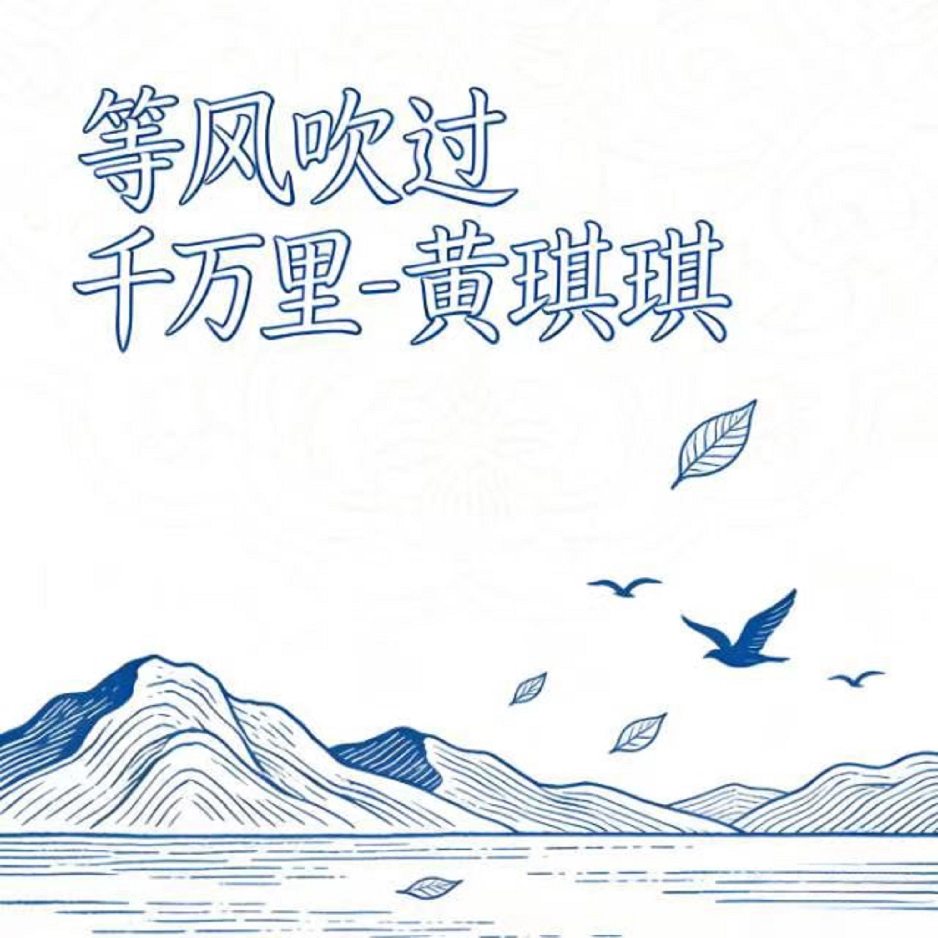 等风吹过千万里 (DJ版)封面