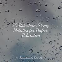 50 Rainstorm Sleepy Melodies for Perfect Relaxation