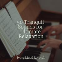 50 Tranquil Sounds for Ultimate Relaxation