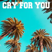 Cry For You (feat. September) [Nide Remix] (Nide Remix)