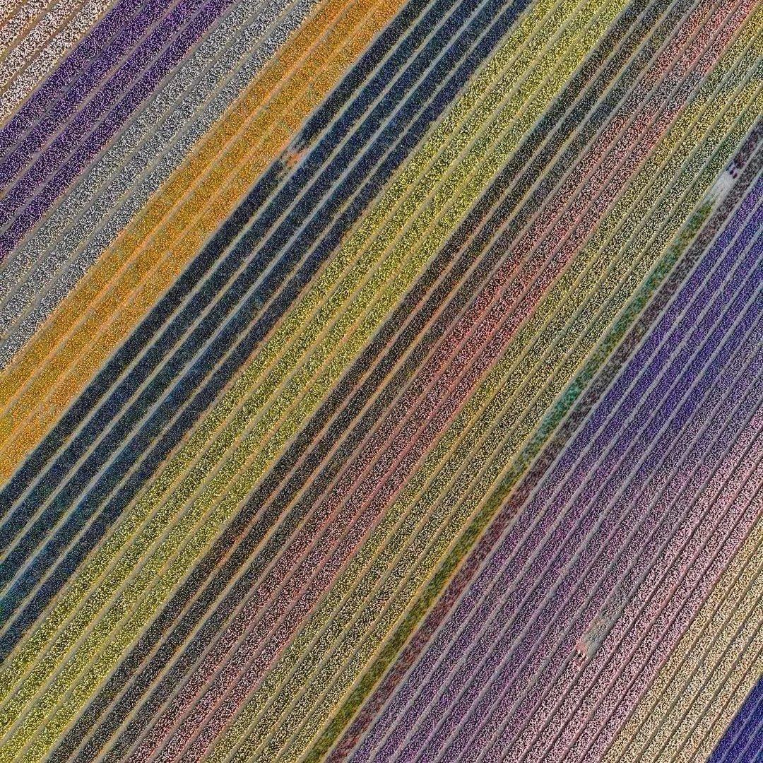 libre-seul-et-assoupi