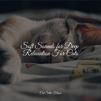 Soft Sounds for Deep Relaxation For Cats