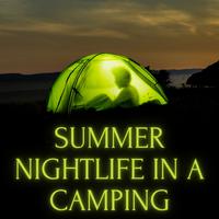 Summer Nightlife in a Camping