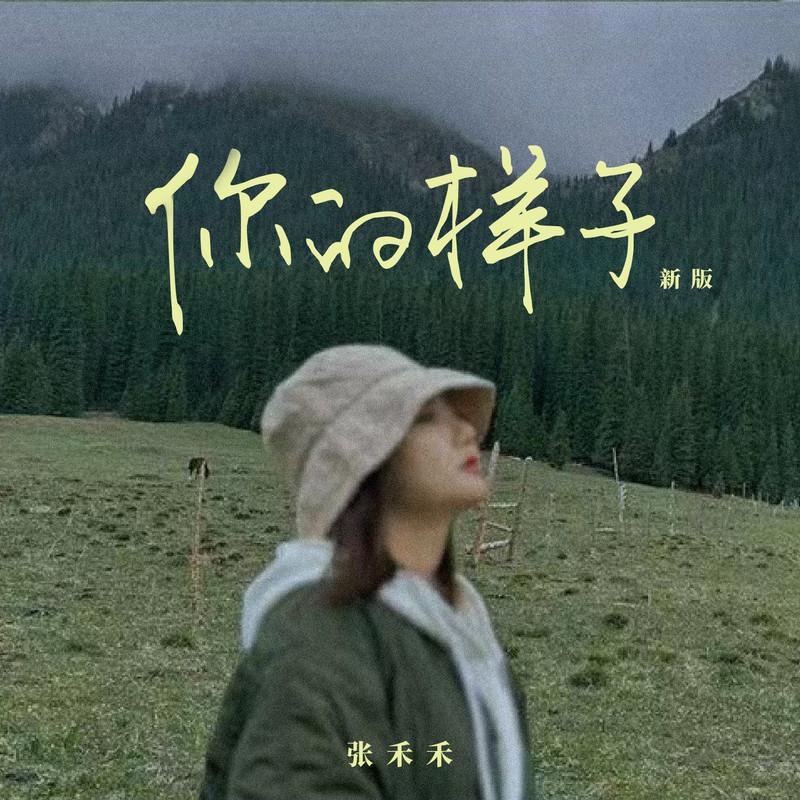 你的样子 (DJ阿卓版)封面
