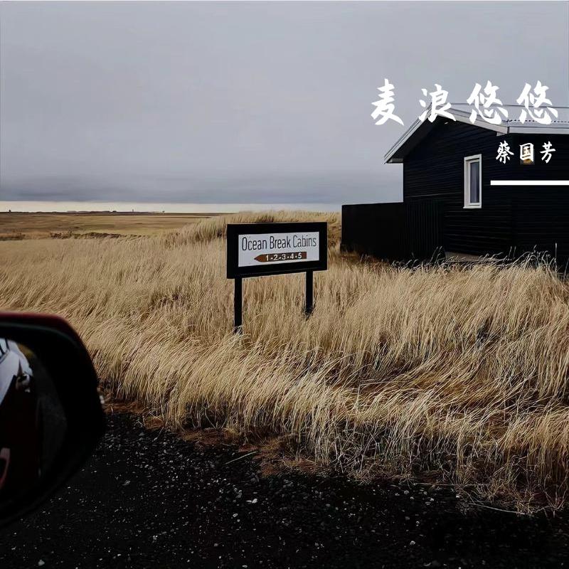 淡月如歌封面