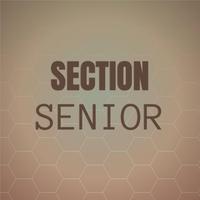 Section Senior