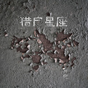 朴树