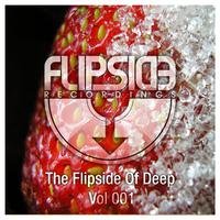 The Flipside of Deep, Vol. 1