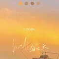 hallo每一天 (Remix)封面